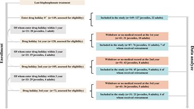 Skeletal outcomes of patients with osteogenesis imperfecta during drug holiday of bisphosphonates: a real-world study